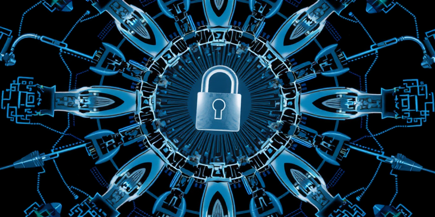 Navigating the Paradox of Social Media Privacy